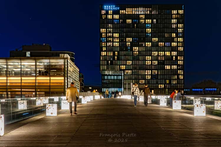 Hyatt Hotel in profile, Düsseldorf