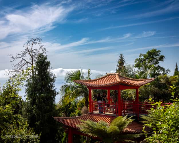 Jardim Tropical Monte Palace