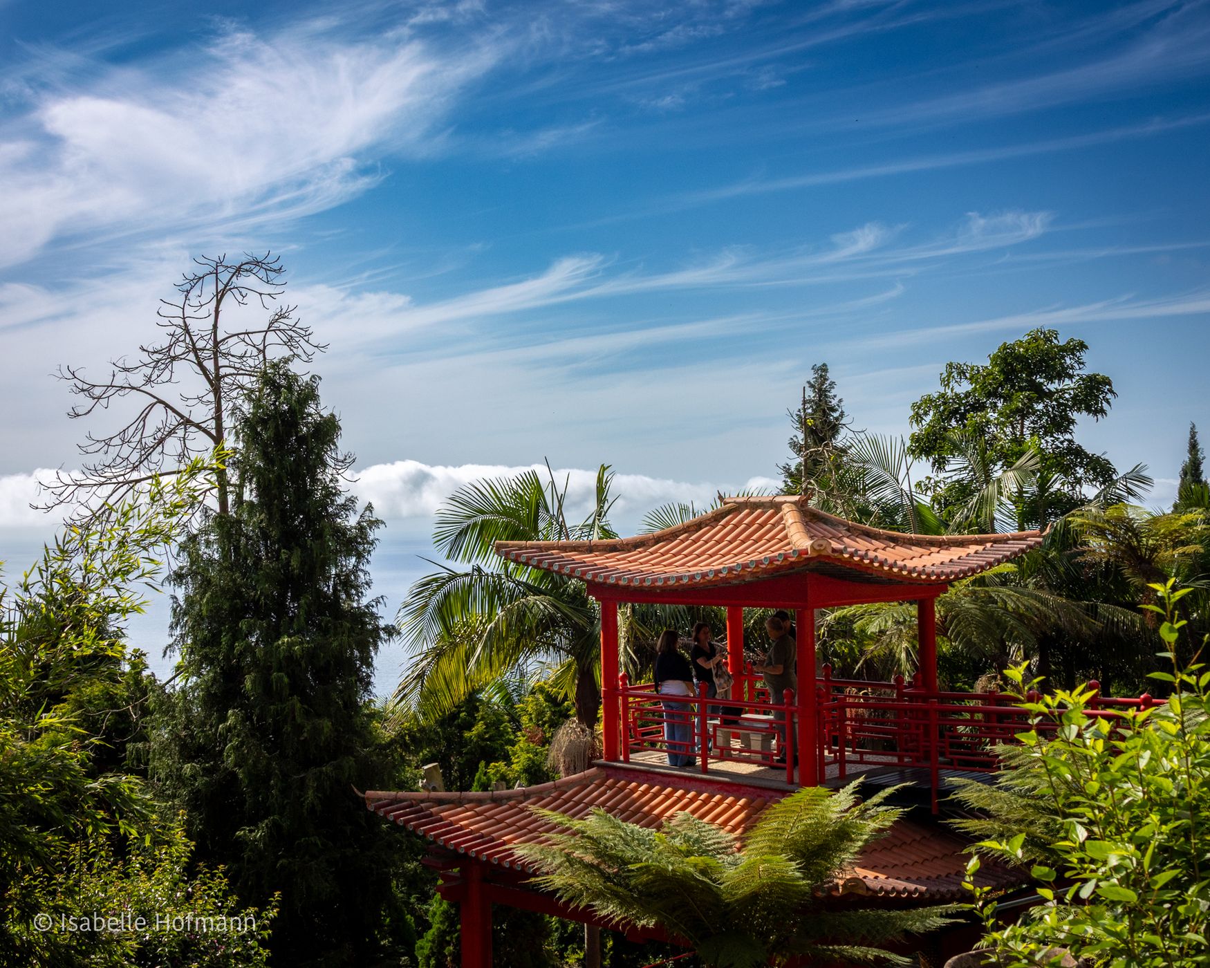 Jardim Tropical Monte Palace, Portugal
