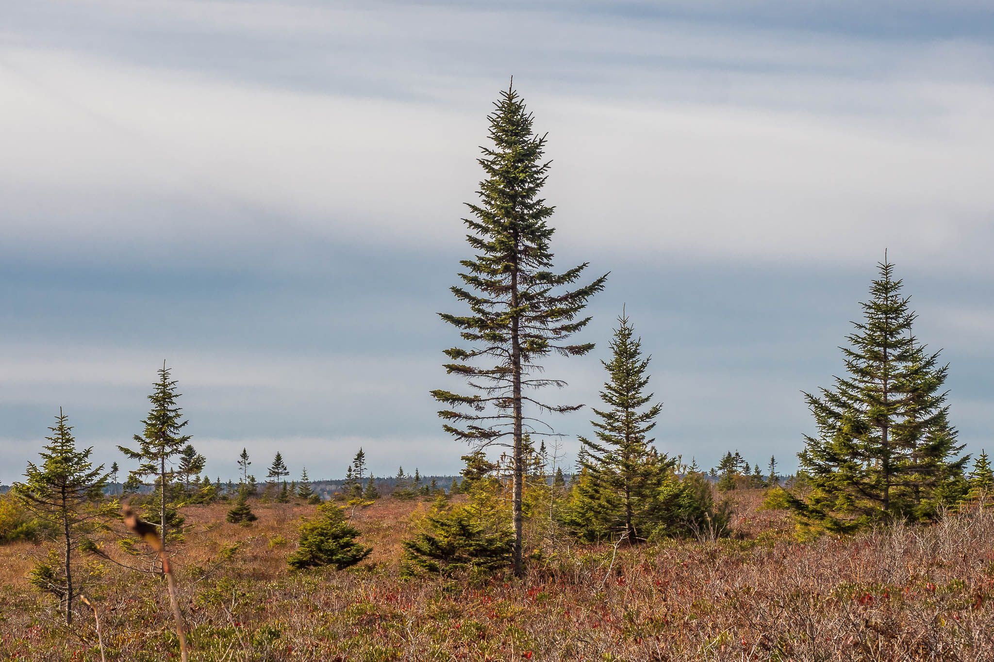 Kejimkujik National Park Seaside, Canada