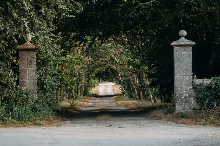 Kérangoff tree avenue