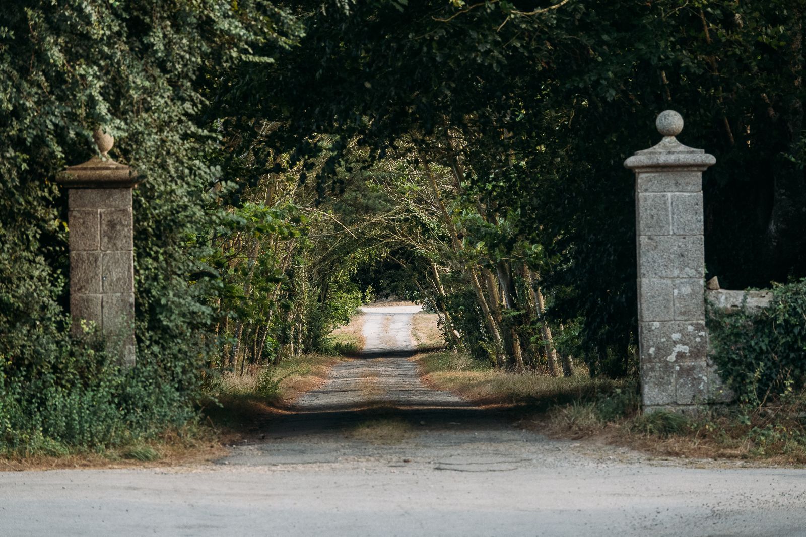 Kérangoff tree avenue, France