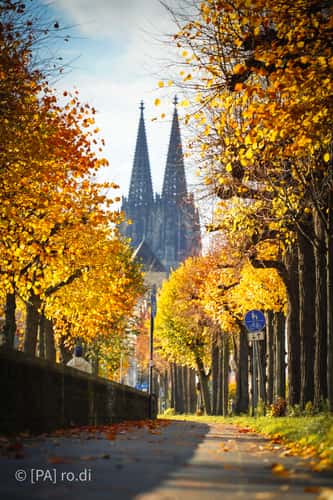 Konrad-Adenauer-Ufer, Cologne