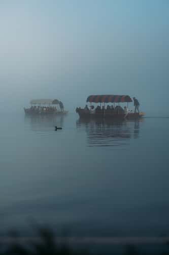 Lake Bled Boats