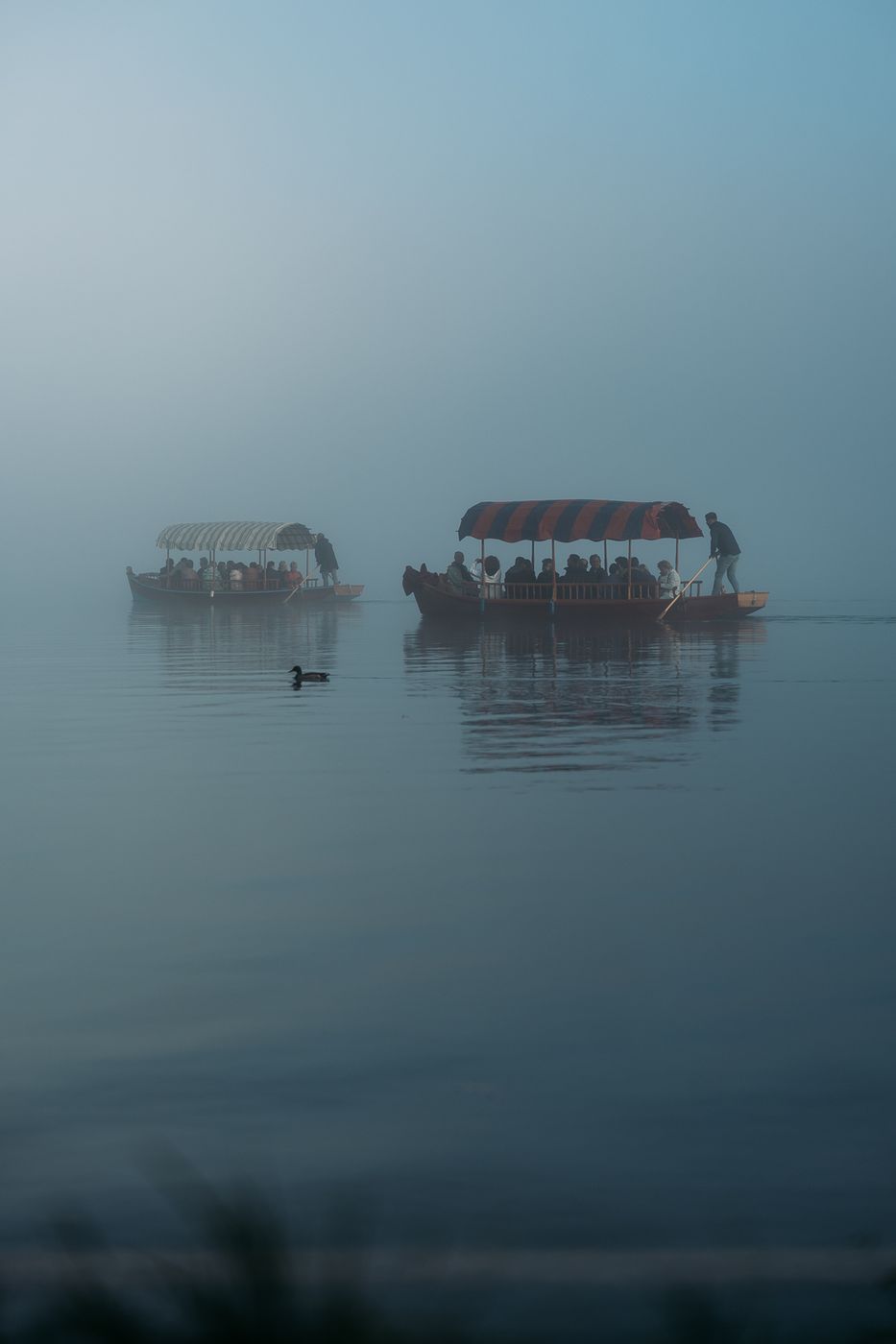 Lake Bled Boats, Slovenia