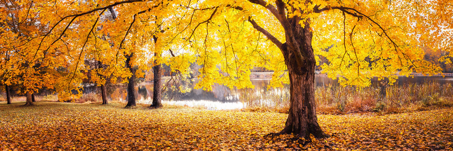 Lake Nevin – Bernheim Arboretum and Research Forest