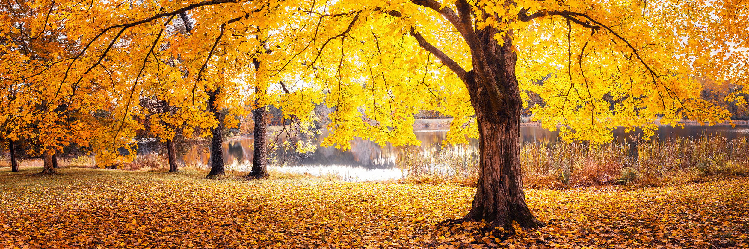 Lake Nevin – Bernheim Arboretum and Research Forest, USA