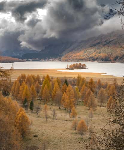 Lake sils