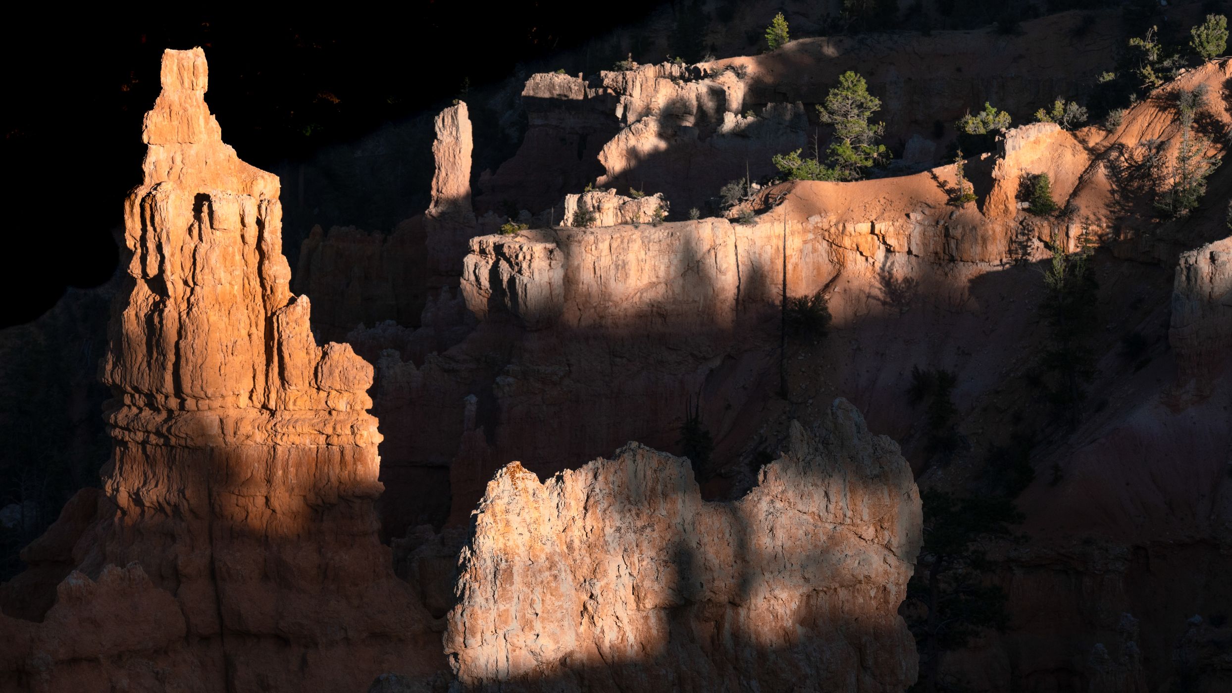 Lights in Bryce, USA