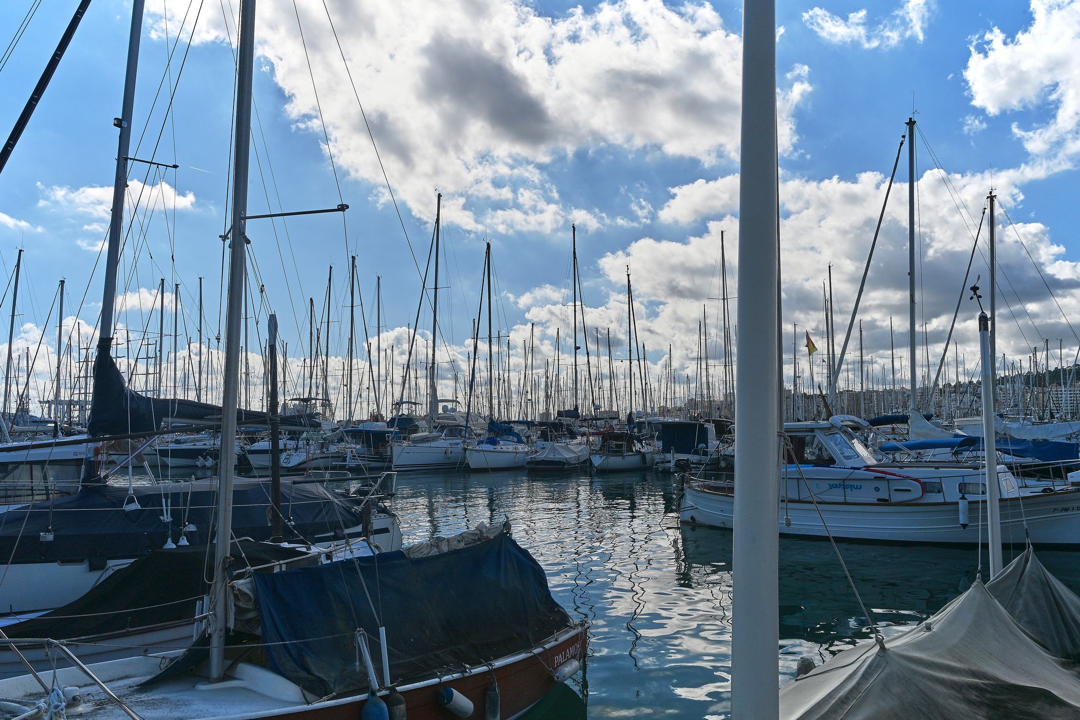 Marinas at Palma, Spain