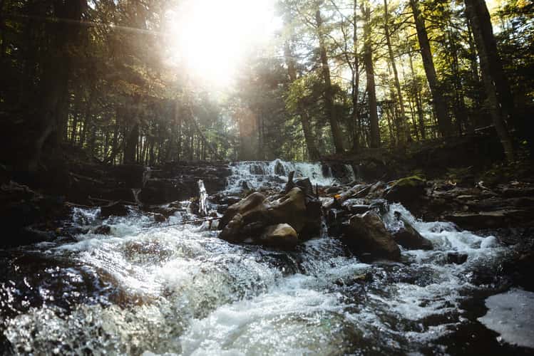 Mosquito Falls, Chapel Loop