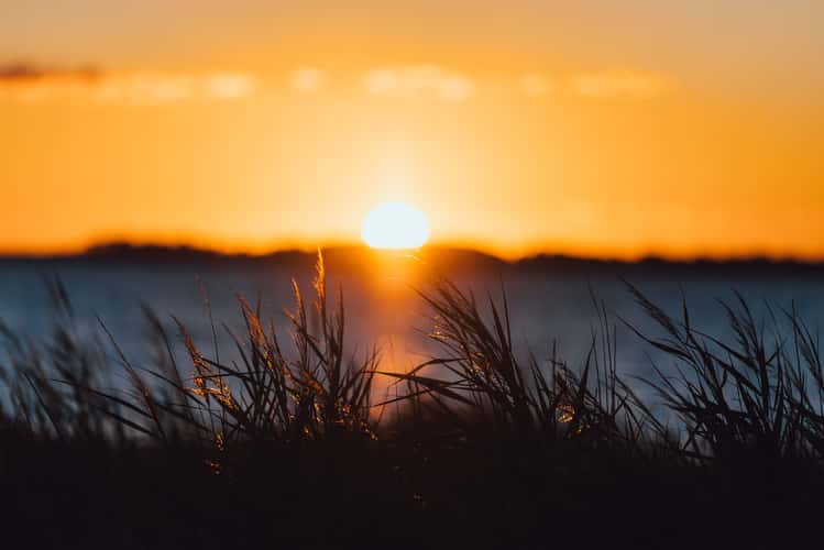 Natura 2000, Avernakø, Denmark