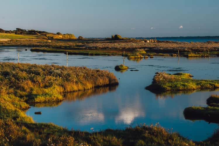 Natura 2000, Avernakø, Denmark
