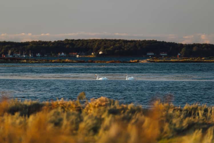 Natura 2000, Avernakø, Denmark