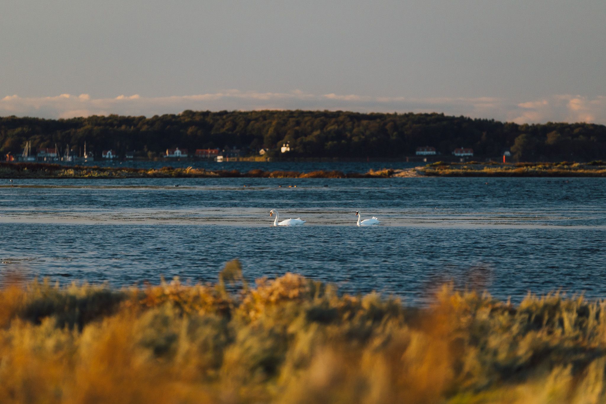 Natura 2000, Avernakø, Denmark, Denmark
