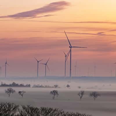 Nebelige Morgenstimmung im Weinviertel, Austria