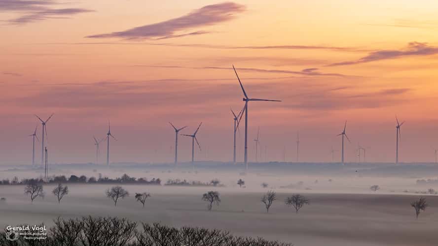 Nebelige Morgenstimmung im Weinviertel
