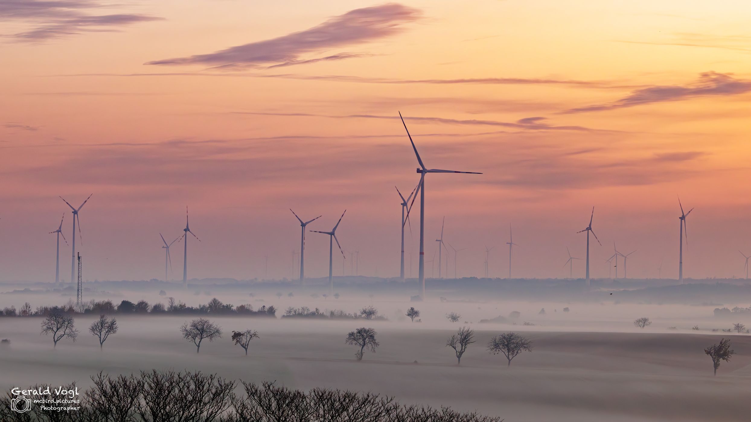 Nebelige Morgenstimmung im Weinviertel, Austria