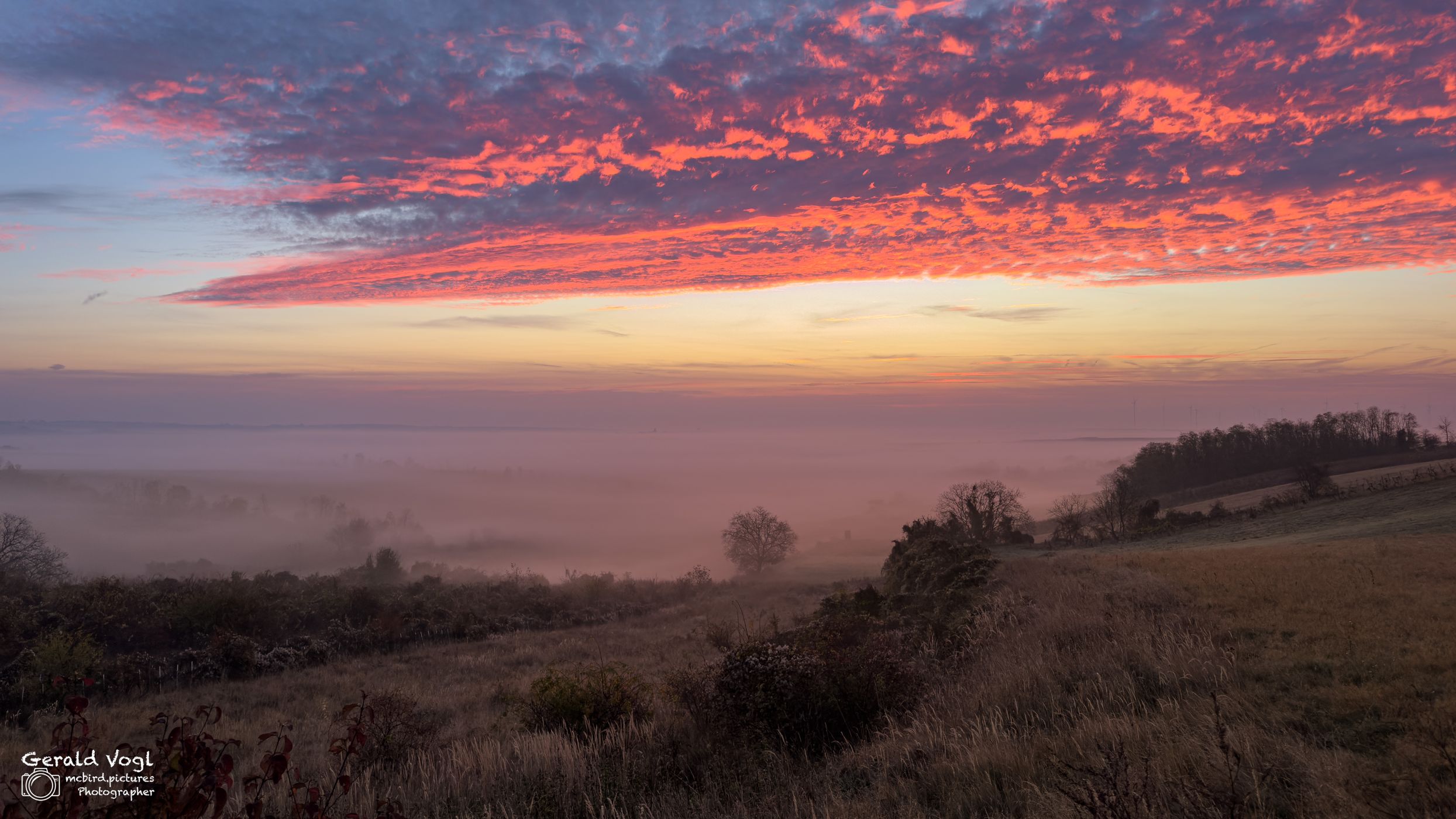 Nebelige Morgenstimmung im Weinviertel, Austria
