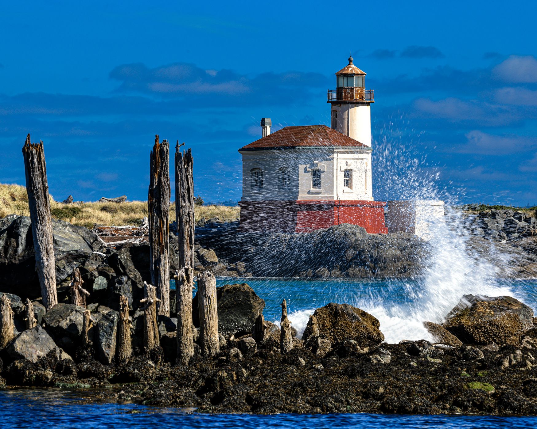 Oregon Coast USA, USA