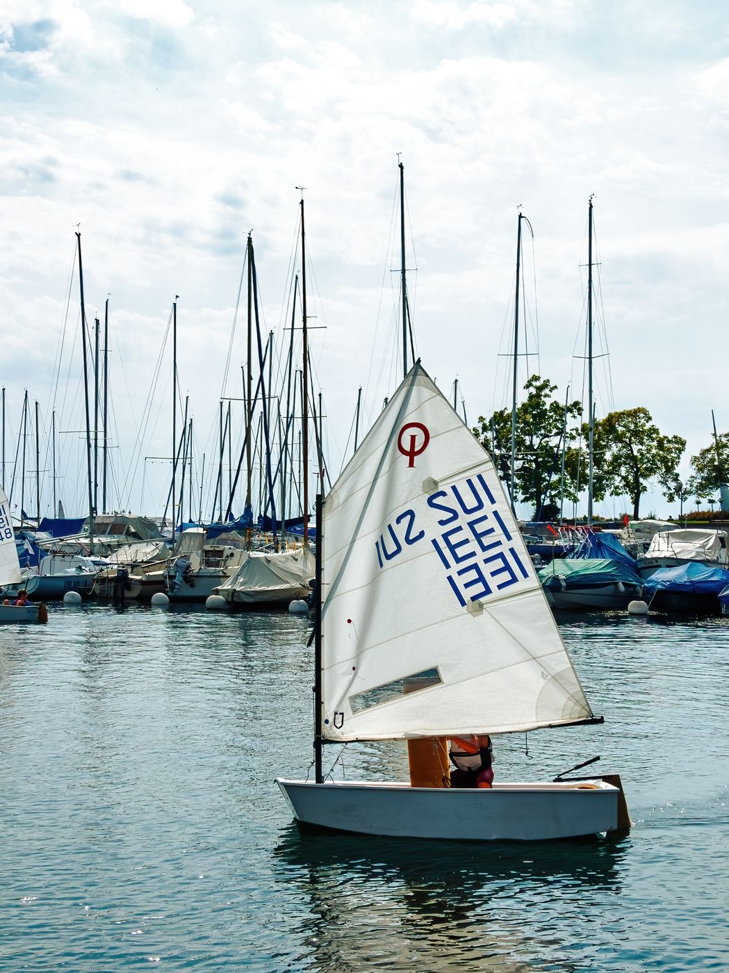 Port of Pully, Lake Geneva, Canton of Vaud, Switzerland