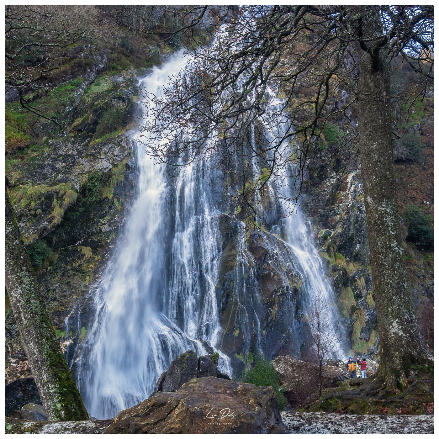 Powerscourt Waterfall, Ireland