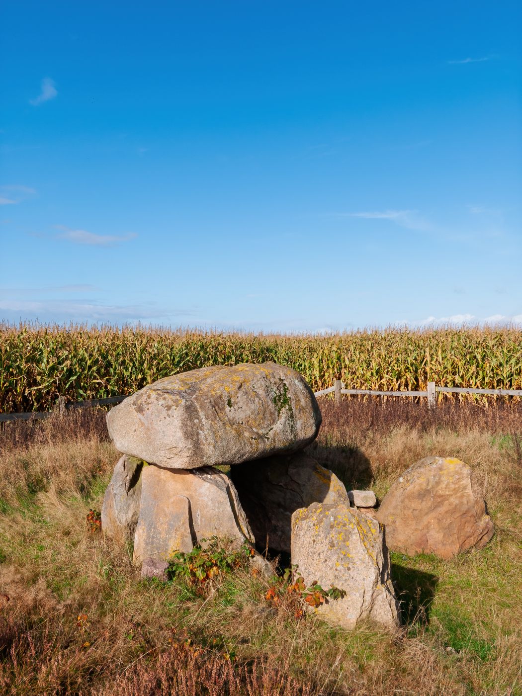Prehistoric grave in Oldendorf, Germany
