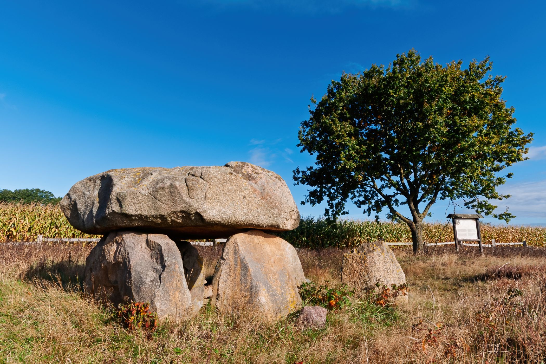 Prehistoric grave in Oldendorf, Germany