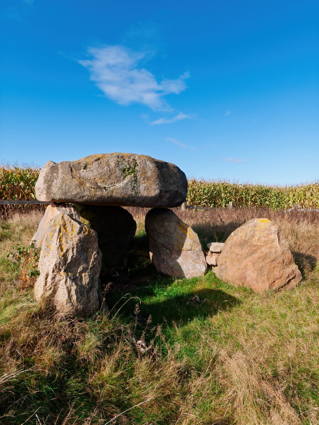 Prehistoric grave in Oldendorf, Germany