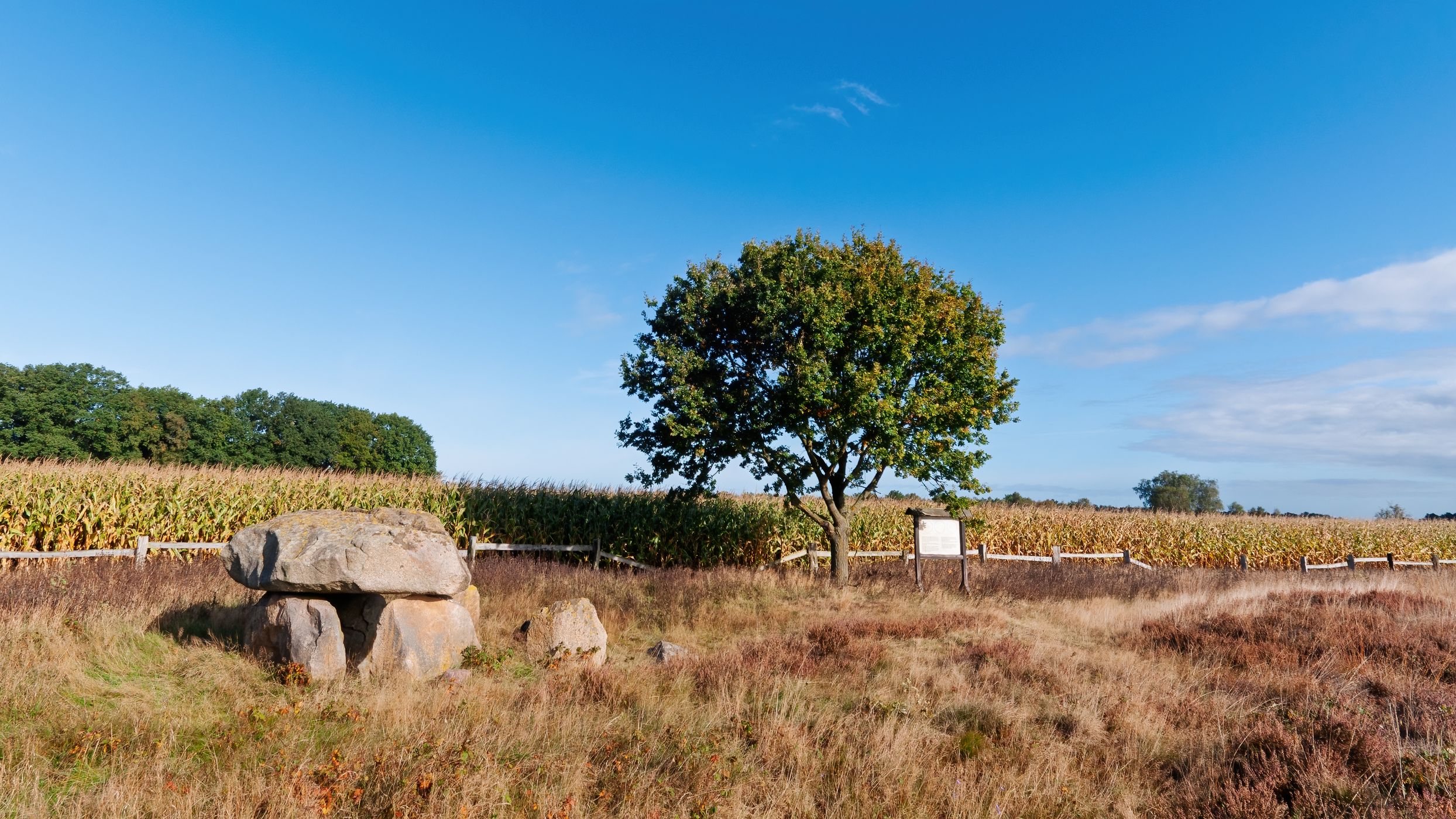 Prehistoric grave in Oldendorf, Germany