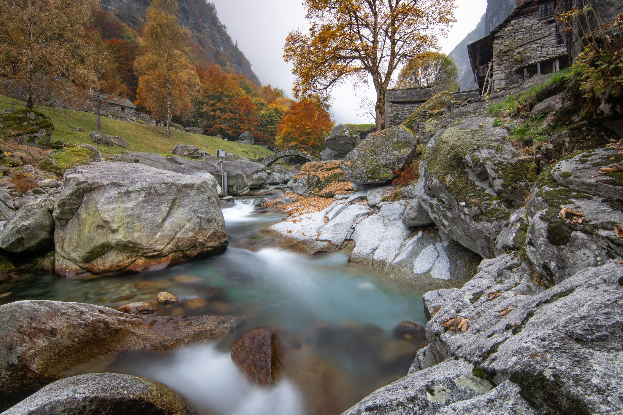 Puntid (Calnegia), Switzerland