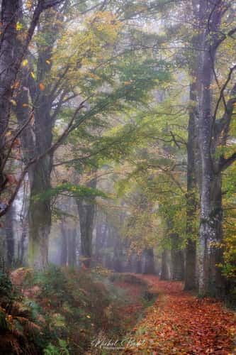 Rigole du Boulet