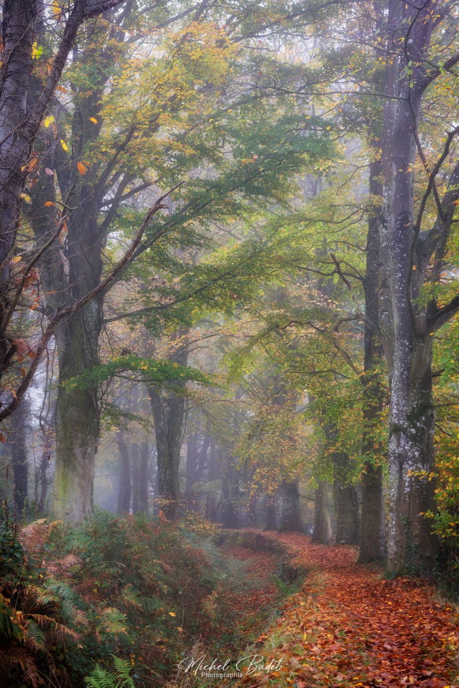 Rigole du Boulet, France