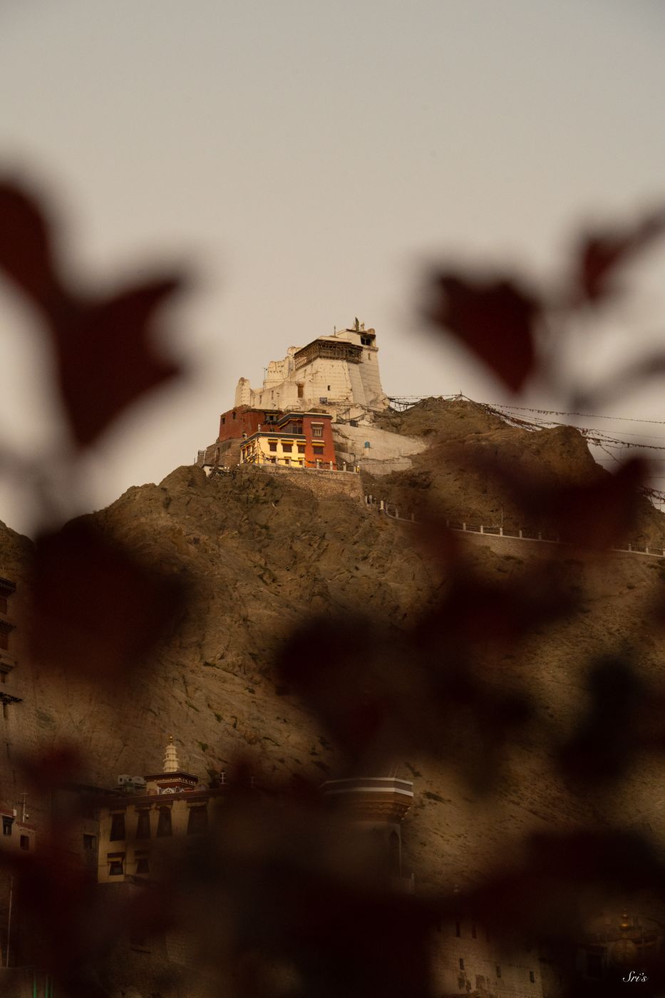 Roof of Hotel Lingzi, India