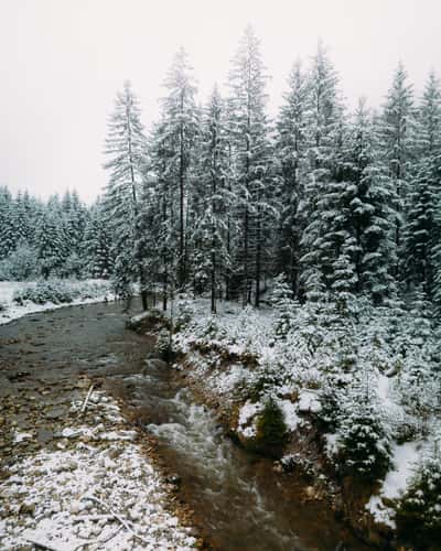 Schanz River (Drone)
