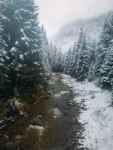 Schanz River (Drone)