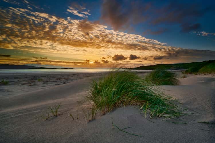Silverstrand