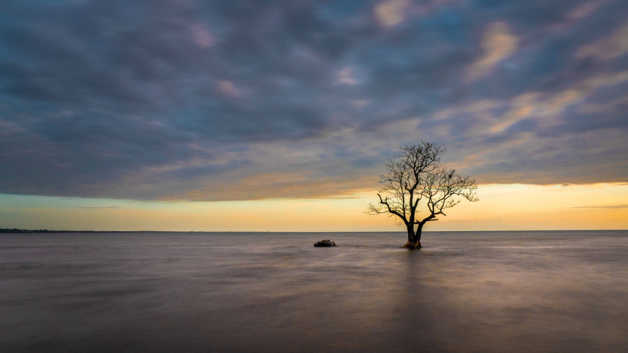 Solitary tree, Nicaragua