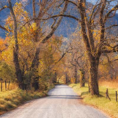 Sparks Lane – Cades Cove, USA