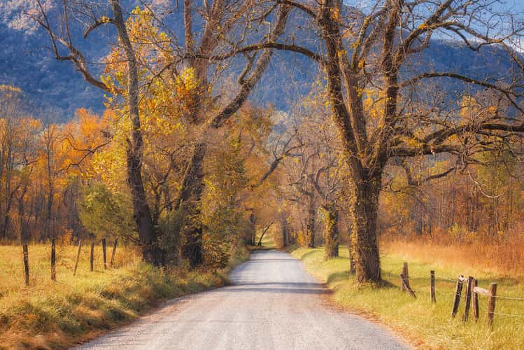 Sparks Lane – Cades Cove