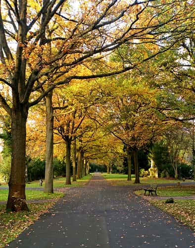 Stadtfriedhof Stöcken