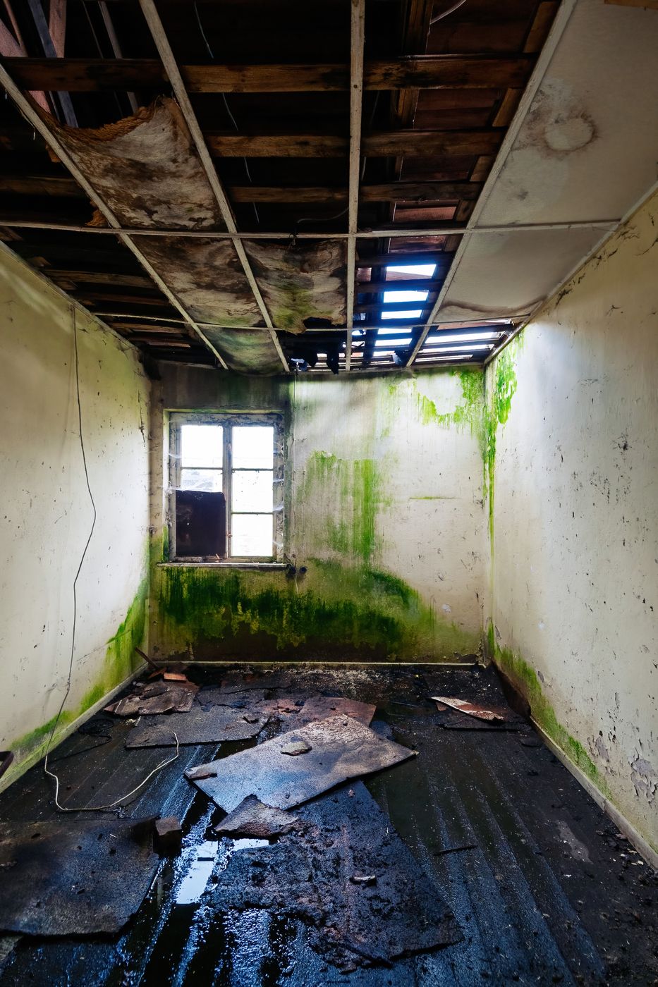 Stalag Shadows – A Photographic Journey Through Sandbostel, Germany