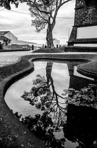 Street Photography