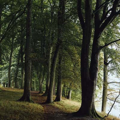 Tarzan Skraenten path, Denmark, Denmark