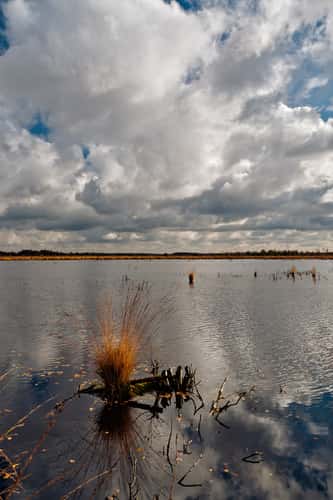 Teufelsmoor
