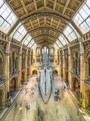 The Natural History Museum, London
