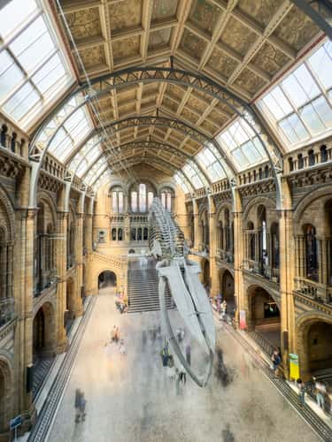 The Natural History Museum, London