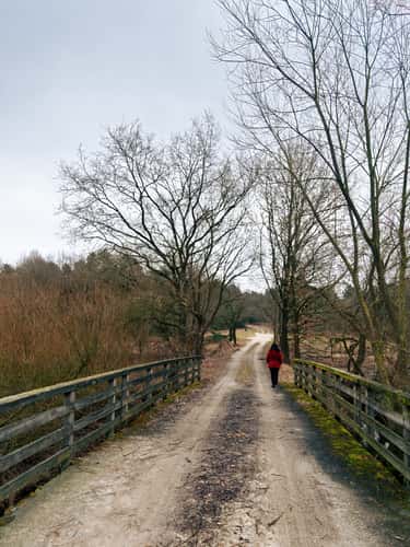 The Oste River near Rockstedt