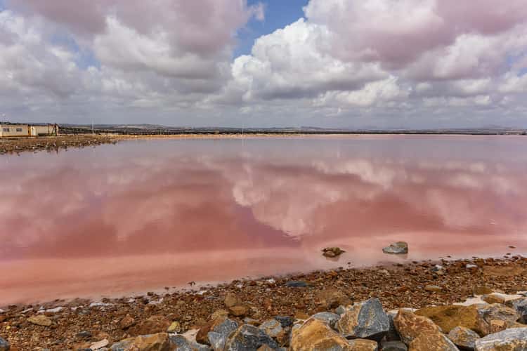 Torrevieja Salt Lakes