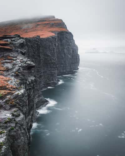 Trælanípa